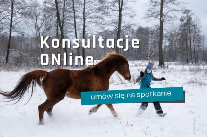 Konsultacja Online