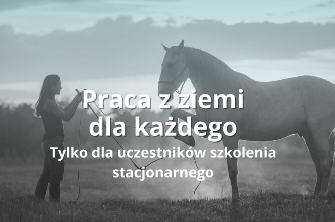 Praca z ziemi dla każdego - warsztat - start