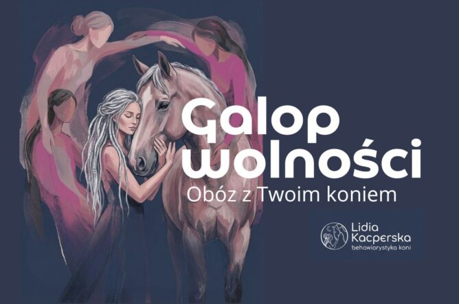 Zadatek - Galop wolności – obóz z Twoim koniem