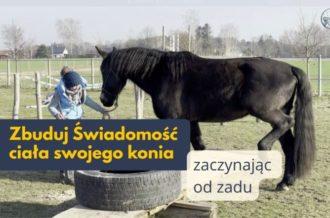 Zbuduj Świadomość ciała swojego konia zaczynając od zadu
